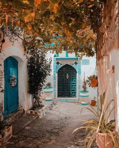 مدخل لبيت في قصبة دلس